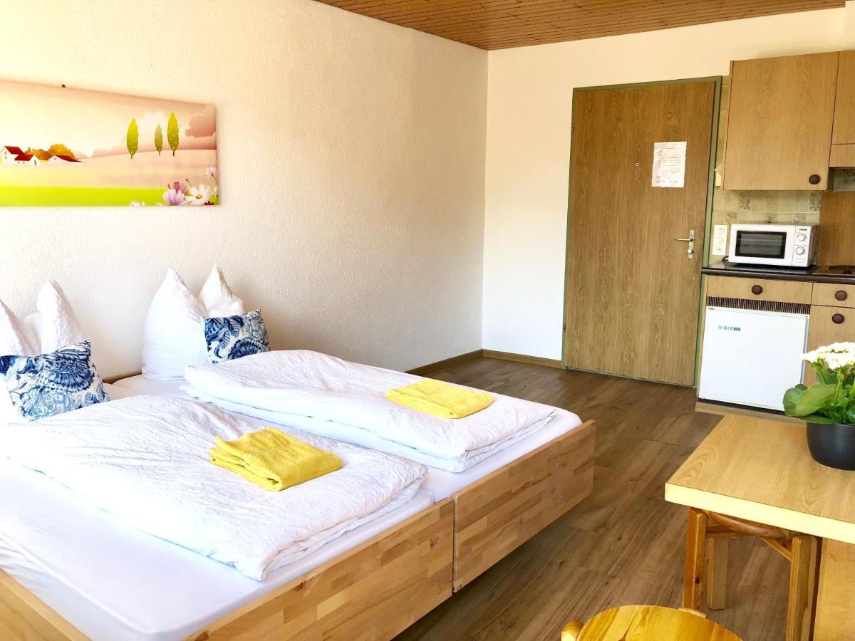 Central Beauty Scenery Apartment Interlaken Zewnętrze zdjęcie
