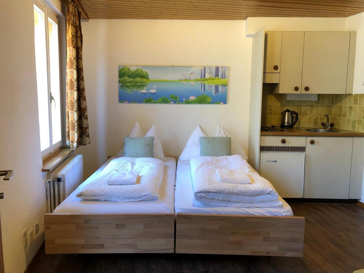 Central Beauty Scenery Apartment Interlaken Zewnętrze zdjęcie