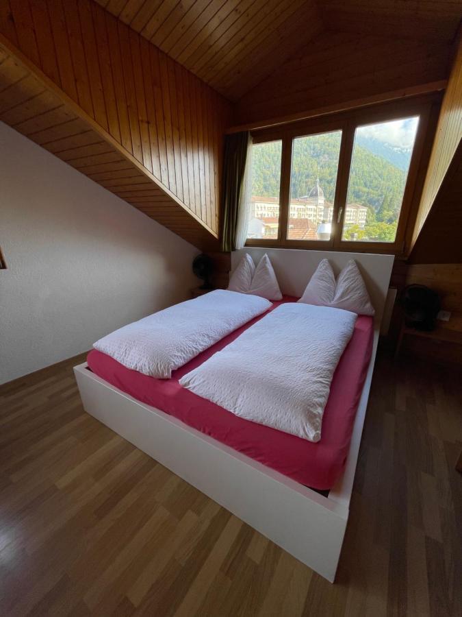 Central Beauty Scenery Apartment Interlaken Zewnętrze zdjęcie