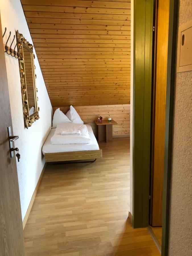 Central Beauty Scenery Apartment Interlaken Zewnętrze zdjęcie